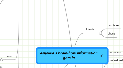 Mind Map: Anjelika's brain-how information gets in