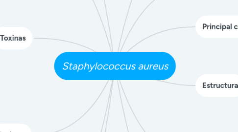 Mind Map: Staphylococcus aureus