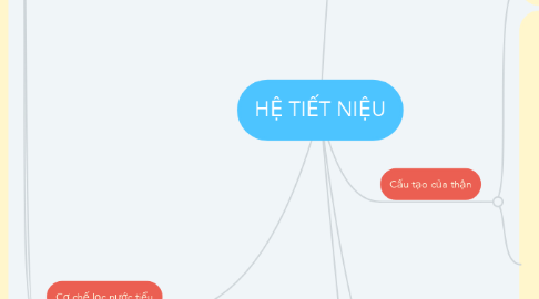 Mind Map: HỆ TIẾT NIỆU