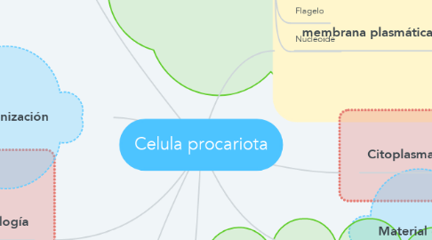Mind Map: Celula procariota