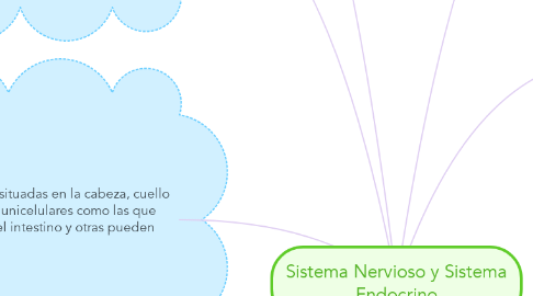 Mind Map: Sistema Nervioso y Sistema Endocrino