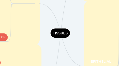Mind Map: TISSUES