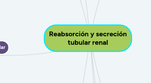 Mind Map: Reabsorción y secreción tubular renal