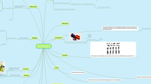 Mind Map: Características de los sistemas biológicos.