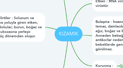 Mind Map: KIZAMIK
