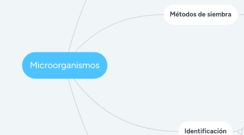 Mind Map: Microorganismos
