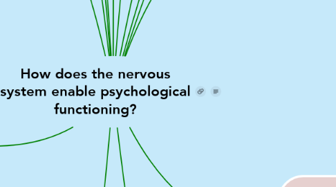 Mind Map: How does the nervous system enable psychological functioning?