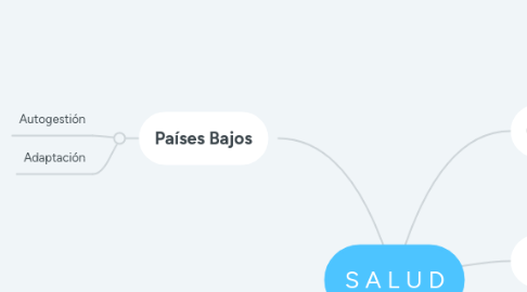 Mind Map: S A L U D