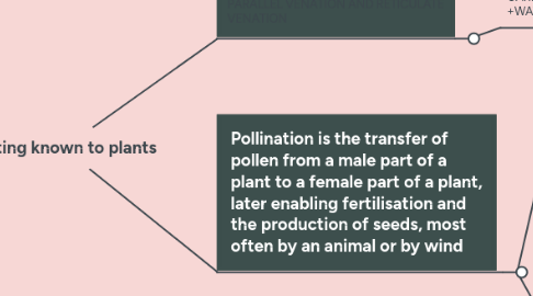 Mind Map: Getting known to plants