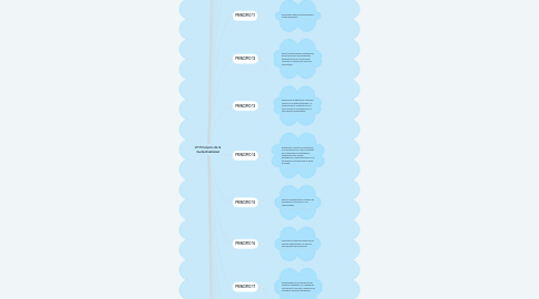 Mind Map: 27 Principios de la Sustentabilidad