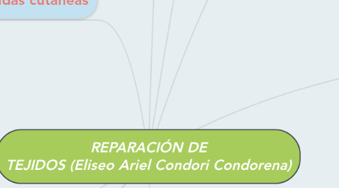 Mind Map: REPARACIÓN DE TEJIDOS (Eliseo Ariel Condori Condorena)