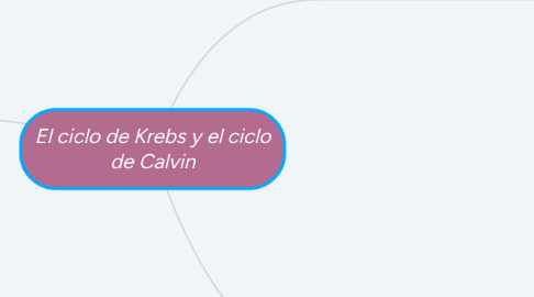 Mind Map: El ciclo de Krebs y el ciclo de Calvin