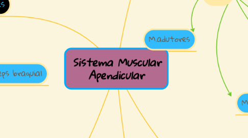 Mind Map: Sistema Muscular Apendicular