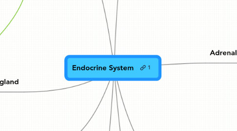 Mind Map: Endocrine System