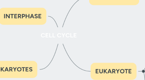 Mind Map: CELL CYCLE