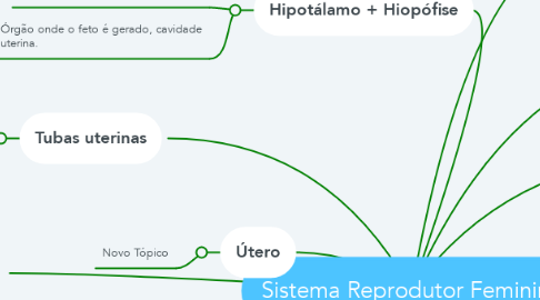Mind Map: Sistema Reprodutor Feminino