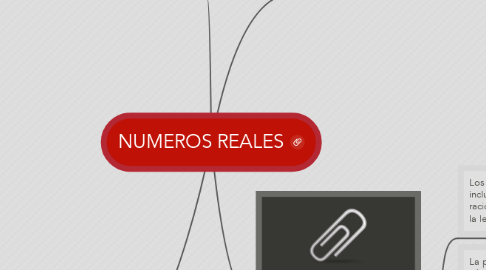 Mind Map: NUMEROS REALES