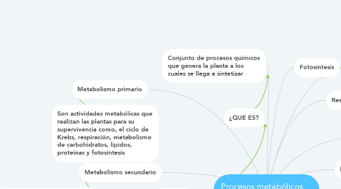 Mind Map: Procesos metabólicos vegetales