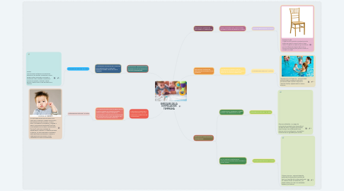 Mind Map: ENFOQUES DE LA ESTIMULACIÓN TEMPRANA