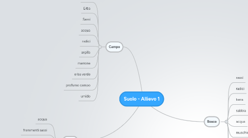 Mind Map: Suolo - Allievo 1