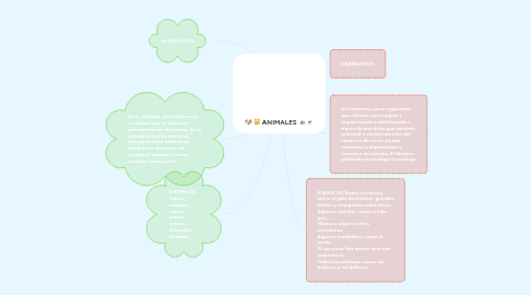 Mind Map: ANIMALES