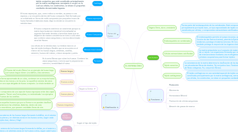 Mind Map: EL SISTEMA ÓSEO