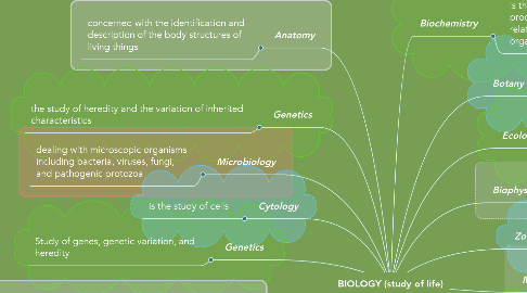 Mind Map: BIOLOGY (study of life)