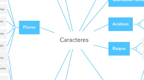 Mind Map: Caracteres