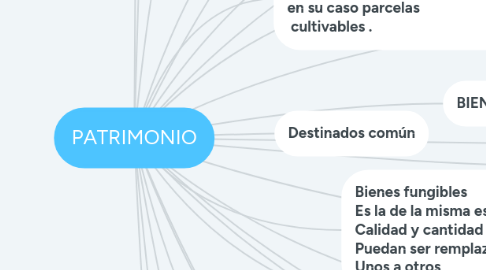 Mind Map: PATRIMONIO