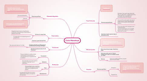 Mind Map: Ciclo Menstrual