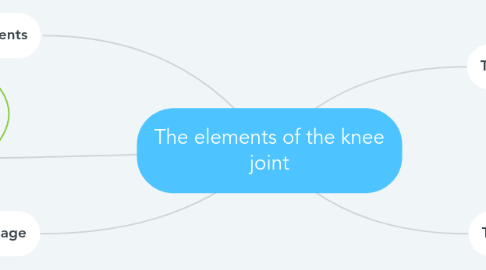 Mind Map: The elements of the knee joint