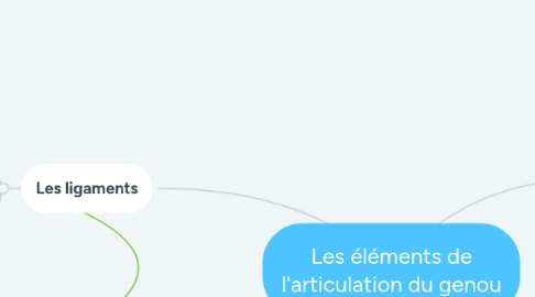 Mind Map: Les éléments de l'articulation du genou