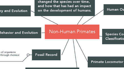 Mind Map: Non-Human Primates