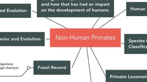 Mind Map: Non-Human Primates