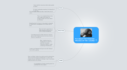 Mind Map: PLE ABOUT THE THINKING PROCESS OF THE  COURSE