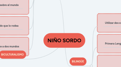 Mind Map: NIÑO SORDO