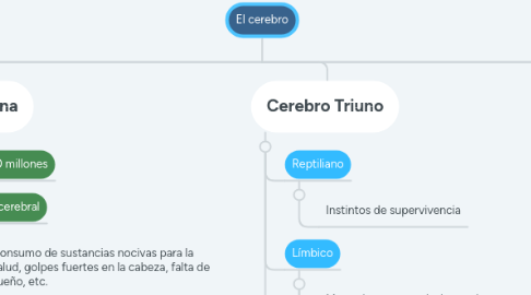 Mind Map: El cerebro