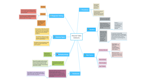 Mind Map: Neural Tube Defects