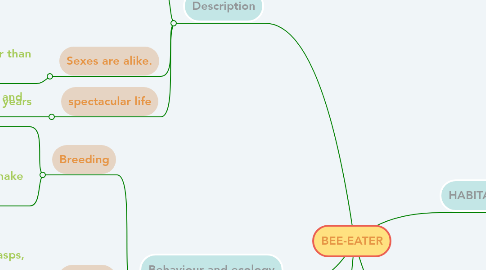 Mind Map: BEE-EATER