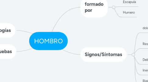 Mind Map: HOMBRO