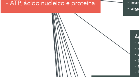 Mind Map: Moléculas essenciais a vida Núcleo celular - ATP, ácido nucleico e proteína
