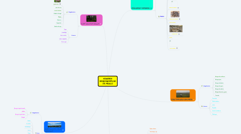 Mind Map: REGIONES BIOGEOGRÁFICAS DE MEXICO