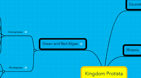 Mind Map: Kingdom Protista