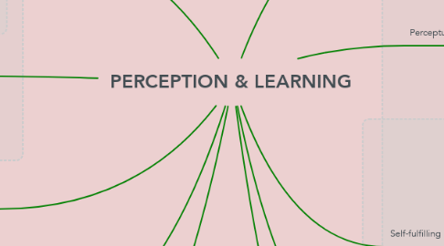 Mind Map: PERCEPTION & LEARNING