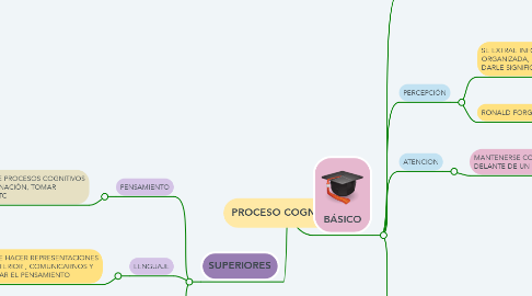 Mind Map: PROCESO COGNITIVO