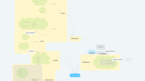 Mind Map: BIOMOLECULAS