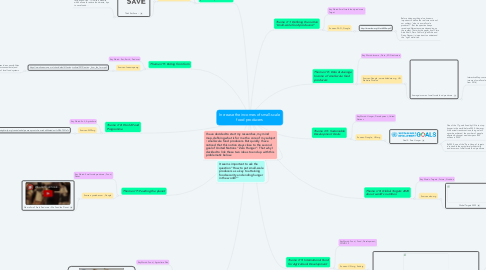 Mind Map: Increase the incomes of small-scale food producers