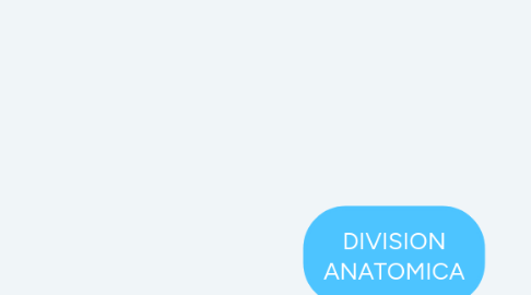 Mind Map: DIVISION ANATOMICA