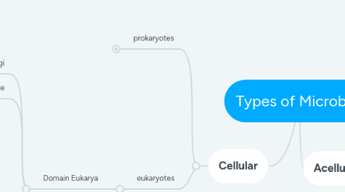 Mind Map: Types of Microbes