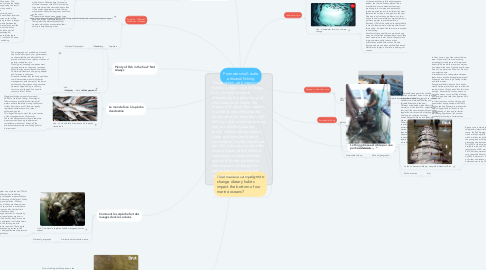 Mind Map: Promote small-scale artisanal fishing